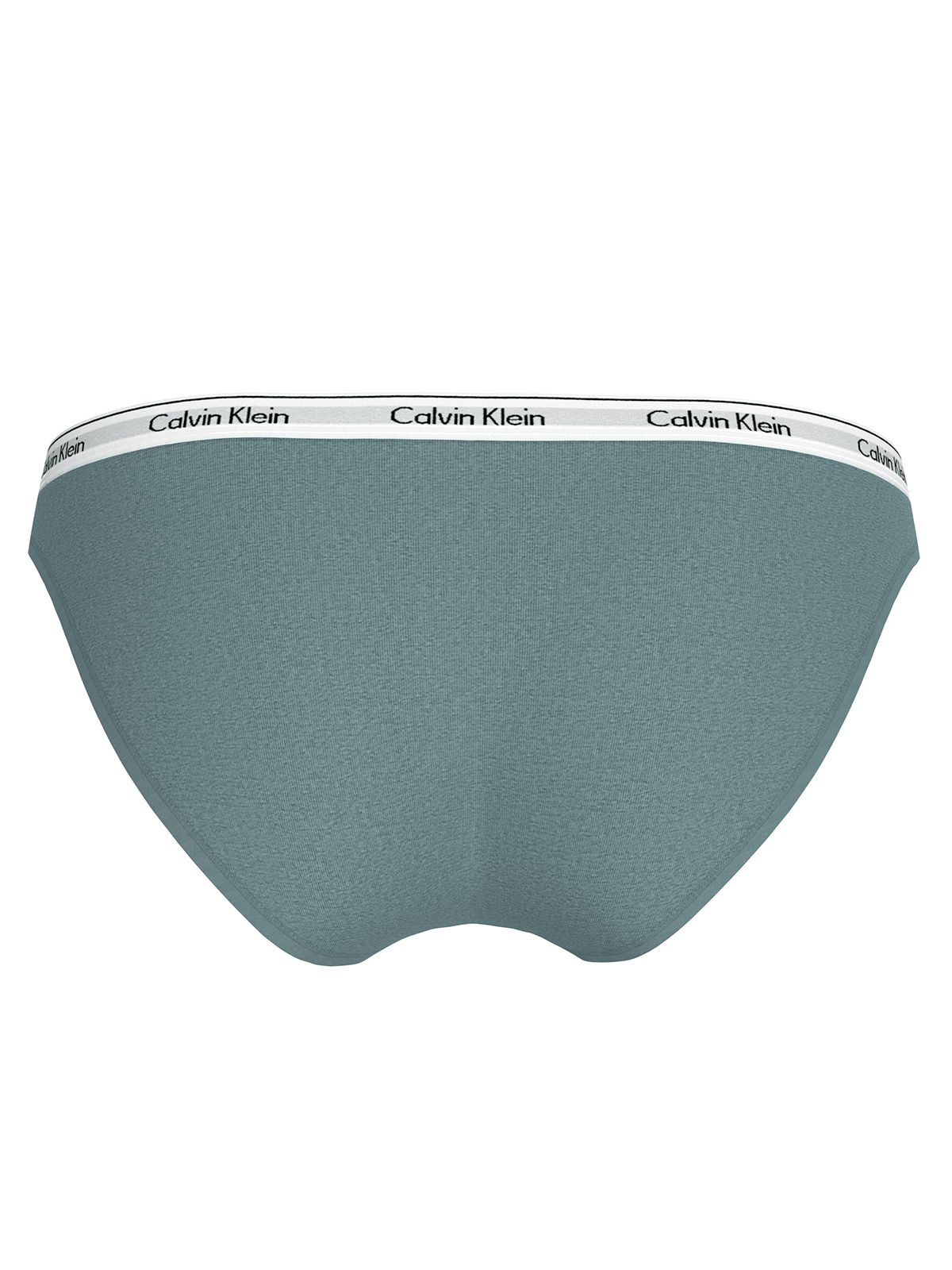 Bikini Briefs - Modern Logo