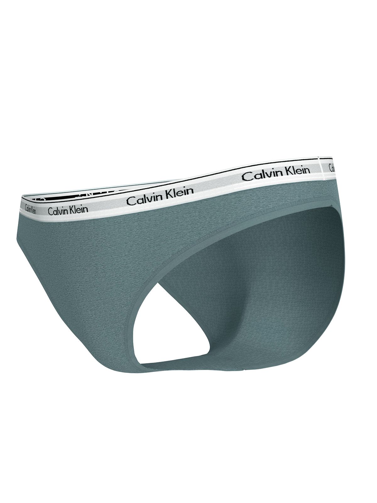 Bikini Briefs - Modern Logo