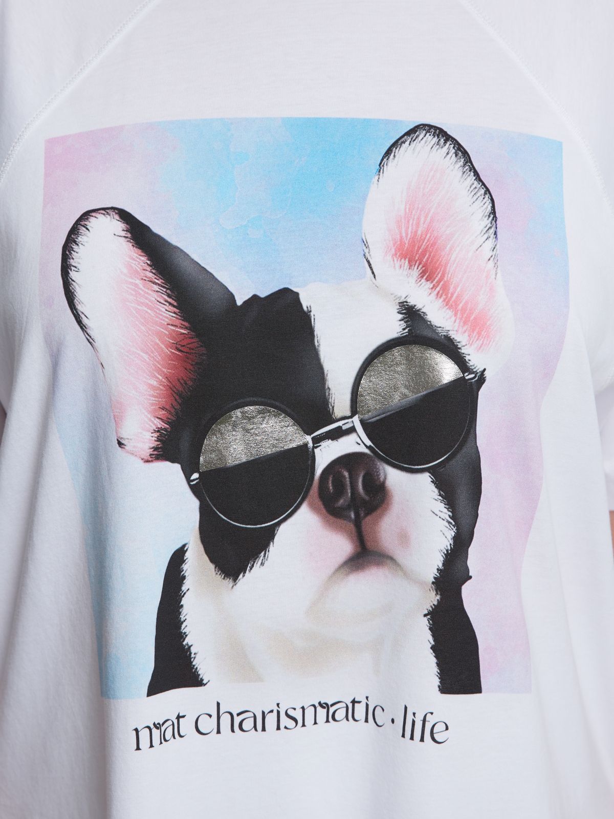Cotton t-shirt with graphic frenchie dog print